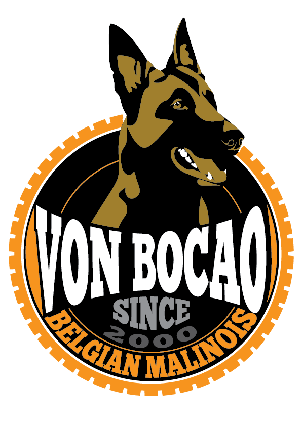 Canil Von Bocão Belgian Malinois desde 2000